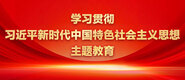 看中国美女操逼逼学习贯彻习近平新时代中国特色社会主义思想主题教育_fororder_ad-371X160(2)